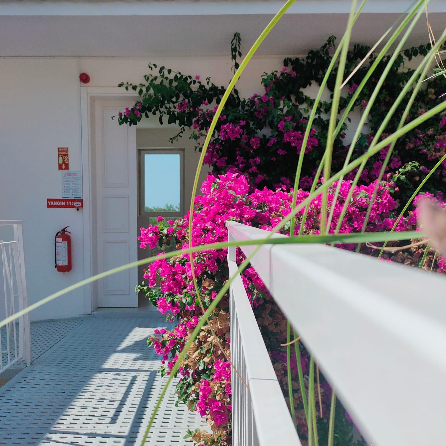 Faralya Tuz Apart Hotel Bagian luar foto